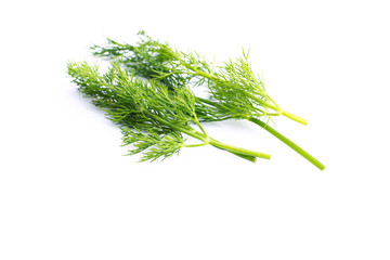 bunch fresh dill