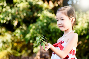 Child holding plant seedling