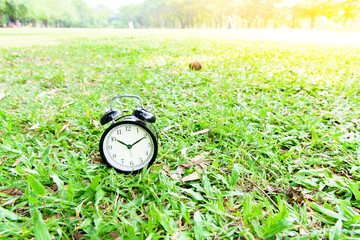 Black alarm clock on the lawn