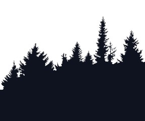 Forest silhouette