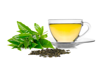 Glass cup of green tea and mint isolated on white background