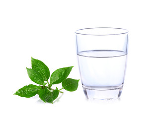 Glass of water with sweet basil isolated on white background