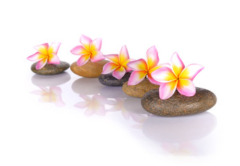 zen stones with frangipani flower on white background