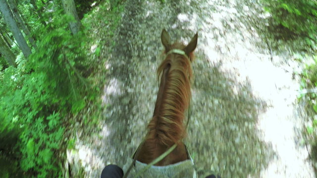 Astride on horse summer