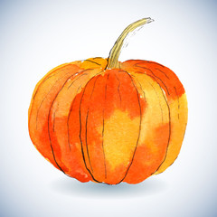 Watercolor pumpkin on white background.