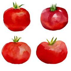 Watercolor set  tomatoes.