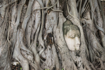 ASIA THAILAND AYUTHAYA WAT PHRA MAHATHAT STONE HEAD