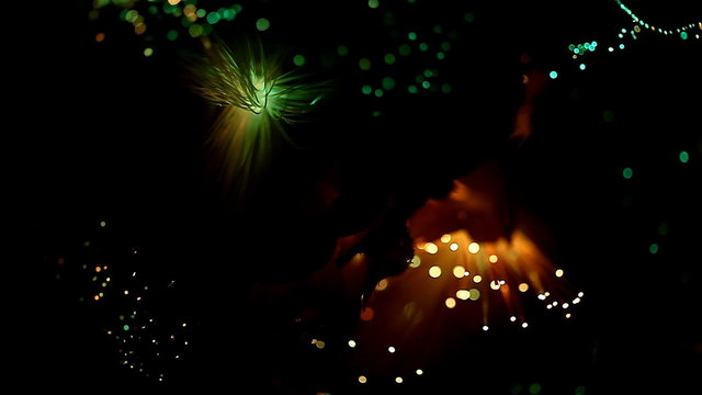light abstract, magical glow, motion  /   light abstract, magical glow, motion, fantastic background  blur   bokeh HD 1920