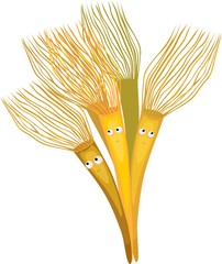  Funny Parazoanthus © Kazakova Maryia