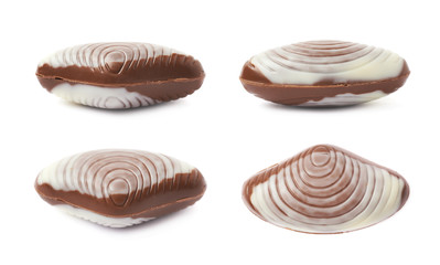 Shell shaped chocolate candy