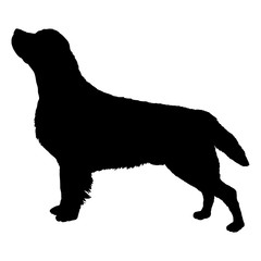 labrador dog silhouette black
