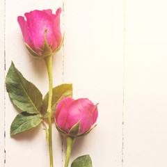 Beautiful roses on wood table