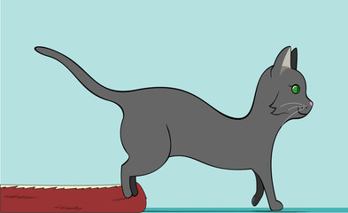 Cat getting out of bed