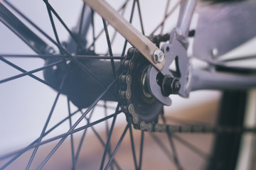 Fototapeta na wymiar Bicycle chain and spokes close up