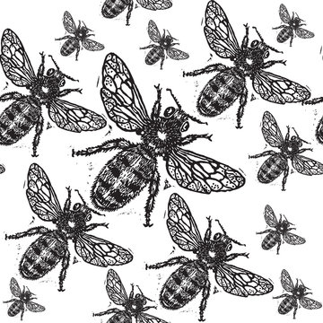 Vector illustrated seamless bee pattern.