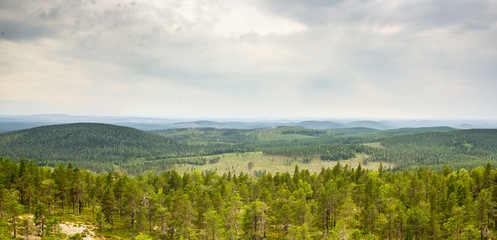 View over a forrest landscape