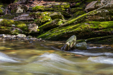 Snow Melt Rushes Past Mossy Rocks