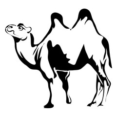 Outline camel vector image. Can be use for logo