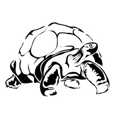 Outline turtle vector image. Can be use for logo