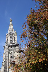 Cathedral of St. Vincent  / Late Gothic church of Cathedral of St. Vincent in Bern