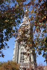 Cathedral of St. Vincent / Late Gothic church of Cathedral of St. Vincent in Bern