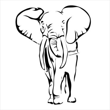 Outline elephant vector image. Can be use for logo