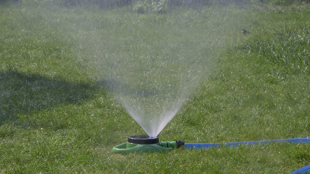 Sprinkler spaying water over green grass at residental lawn close-up