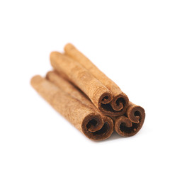 Cinnamon stick isolated