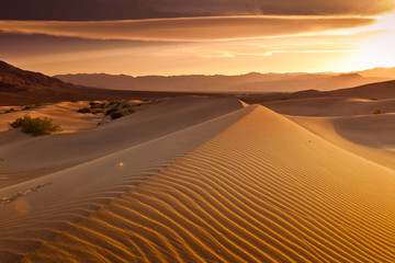 Naklejka na ściany i meble Desert Death Valley