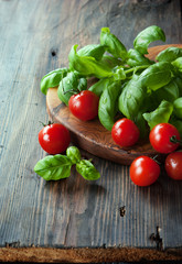 Basil and tomatoes