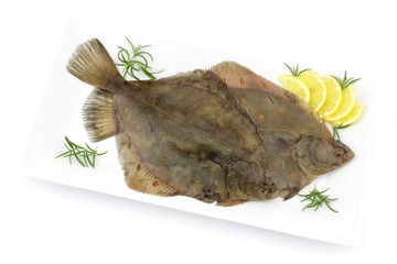 flądra © mariusz_g