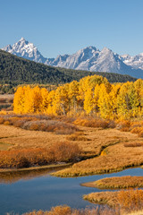 Autumn Landscape in the Tetons