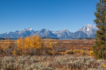 Autumn Landscape in the Tetons