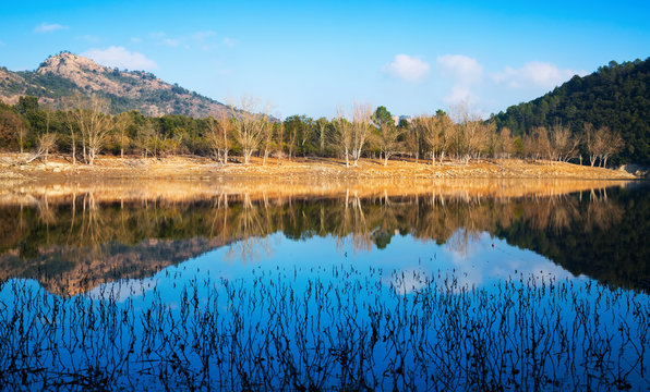 View Of Muga Lake  In Autumn