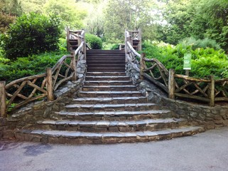 Stairs in Central Park