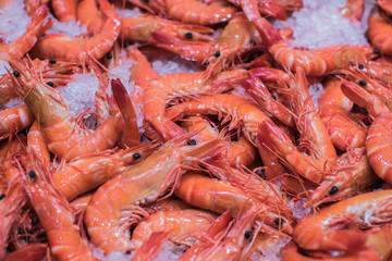 fresh prawns and shrimps in the ice for sale in fish market in sydney