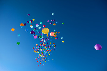 Colorful Balloons flying in the sky party