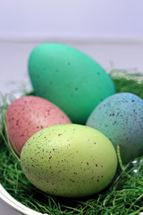 Pastel Eggs in Easter hay