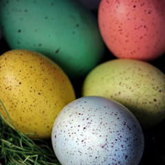 Bright Colors Pastel Eggs square