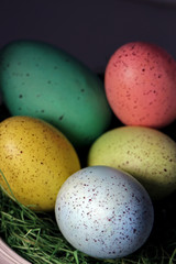 Pastel Eggs in Easter hay on dark background