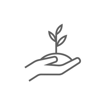 Hands holding seedling in soil line icon.