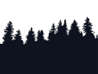 Obraz premium Forest silhouette