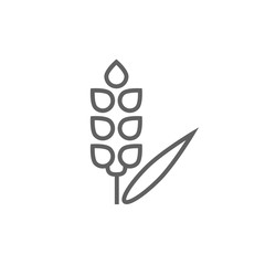 Wheat line icon.