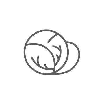 Cabbage line icon.