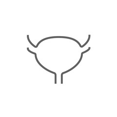 Urinary bladder line icon.