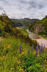 Simpson River Valley, Patagonia, Chile.