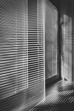 Window with blinds at office