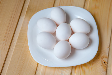 Egg– Stock Image
