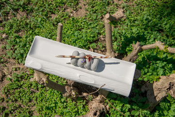 özel sunum çikolata