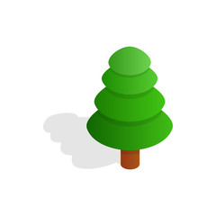 Fir tree icon, isometric 3d style